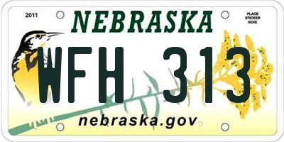 NE license plate WFH313