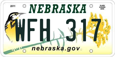 NE license plate WFH317
