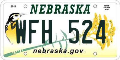 NE license plate WFH524