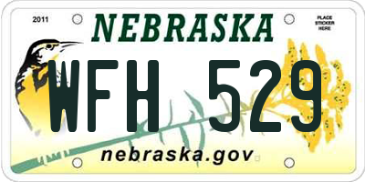 NE license plate WFH529