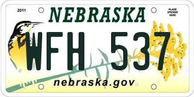 NE license plate WFH537