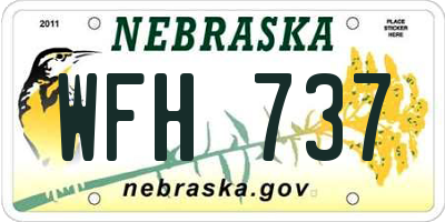 NE license plate WFH737