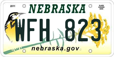 NE license plate WFH823