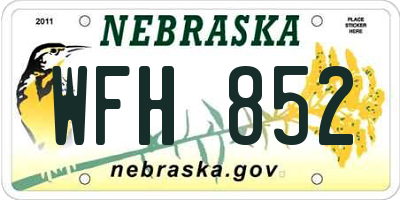 NE license plate WFH852
