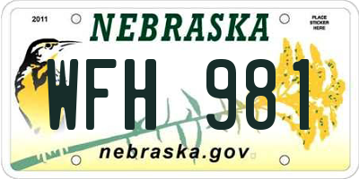 NE license plate WFH981