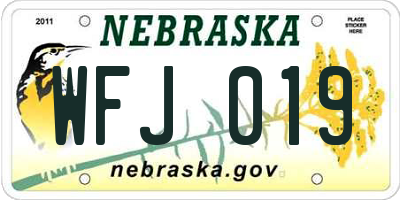 NE license plate WFJ019