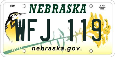 NE license plate WFJ119