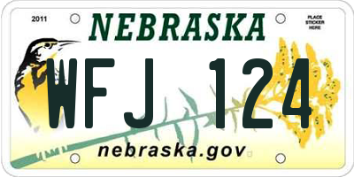 NE license plate WFJ124