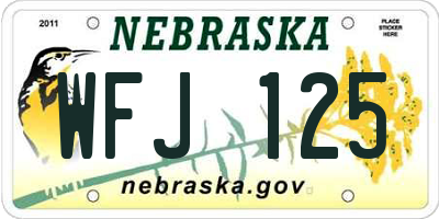 NE license plate WFJ125
