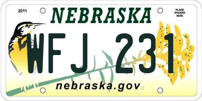 NE license plate WFJ231