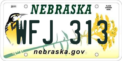 NE license plate WFJ313