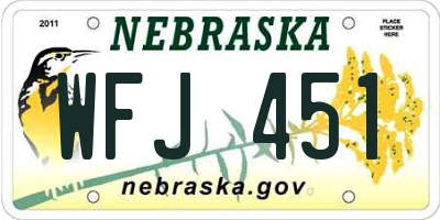NE license plate WFJ451