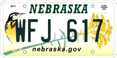 NE license plate WFJ617
