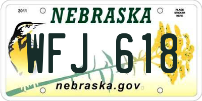 NE license plate WFJ618