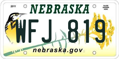 NE license plate WFJ819