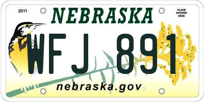 NE license plate WFJ891