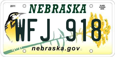 NE license plate WFJ918