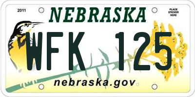 NE license plate WFK125