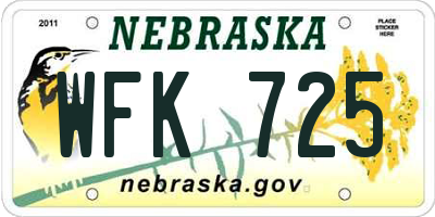 NE license plate WFK725