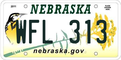 NE license plate WFL313