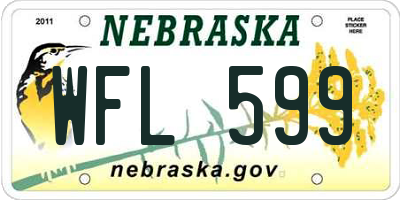 NE license plate WFL599
