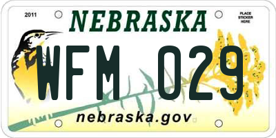 NE license plate WFM029
