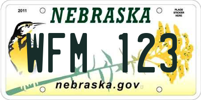 NE license plate WFM123