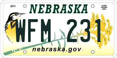 NE license plate WFM231