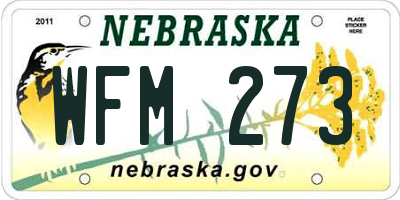 NE license plate WFM273