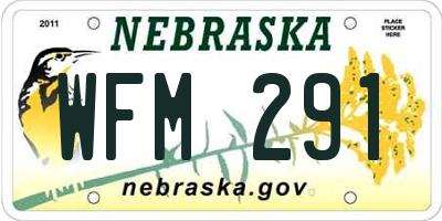 NE license plate WFM291