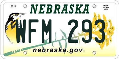 NE license plate WFM293