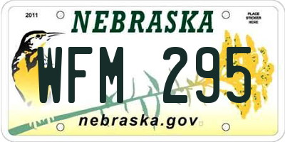 NE license plate WFM295