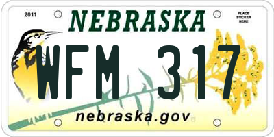 NE license plate WFM317