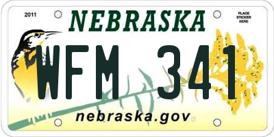 NE license plate WFM341