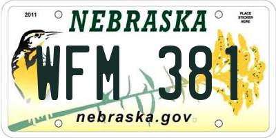 NE license plate WFM381