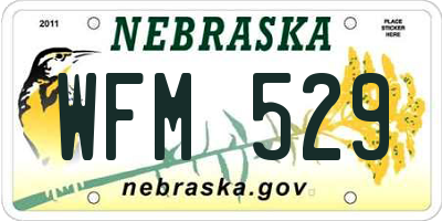 NE license plate WFM529