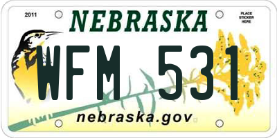 NE license plate WFM531