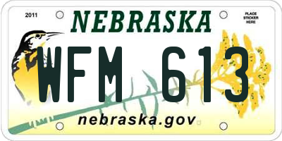 NE license plate WFM613