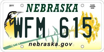 NE license plate WFM615