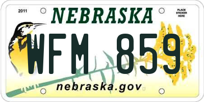 NE license plate WFM859