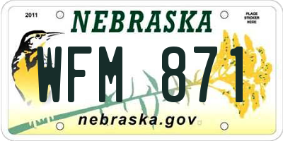 NE license plate WFM871