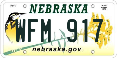 NE license plate WFM917