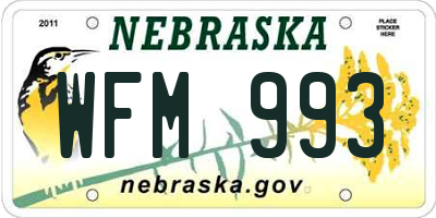 NE license plate WFM993