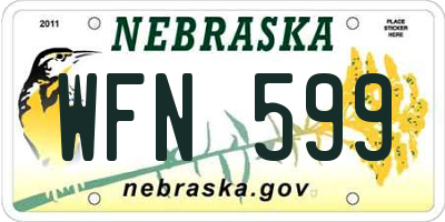 NE license plate WFN599