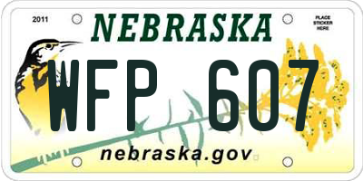 NE license plate WFP607