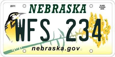 NE license plate WFS234