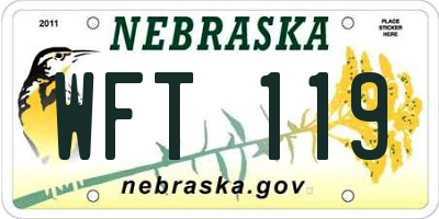 NE license plate WFT119