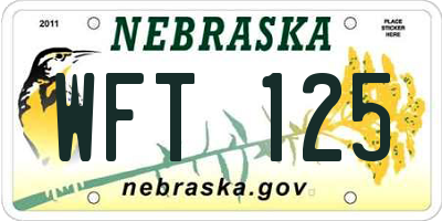 NE license plate WFT125