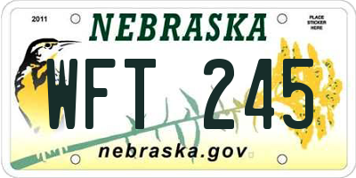 NE license plate WFT245