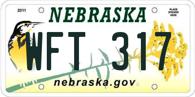 NE license plate WFT317